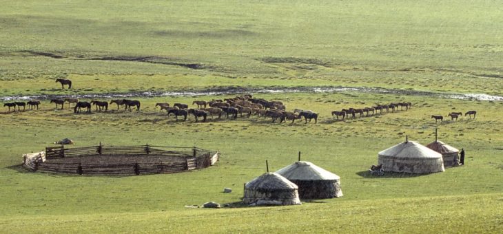 Mongolie, un pays à visiter en 2018